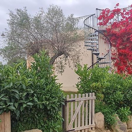 Suite Deluxe Olbia Which Wonderful View Экстерьер фото